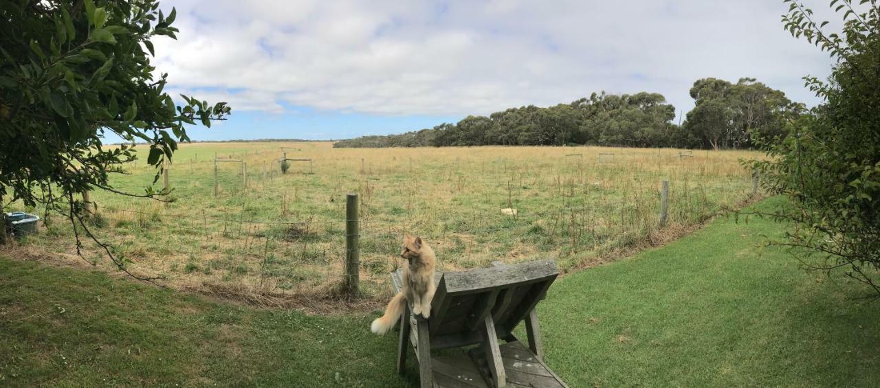 Apartmán Langleys Port Campbell Hobby Farm Exteriér fotografie